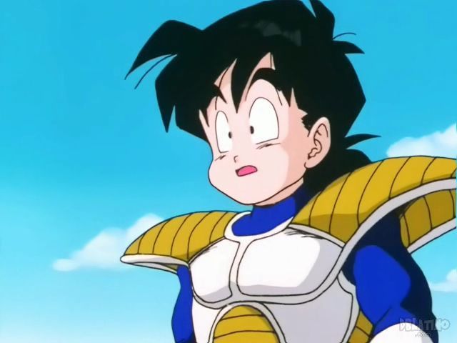 Gohan Armor