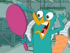 Candace the Platypus - cropped