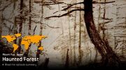 Haunted Forest