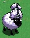 Famesheep