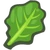 Salad.png