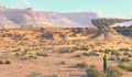 Willy's butte