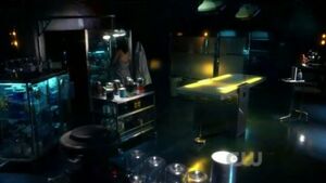 Cadmus Labs