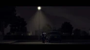 Zw-LANoire-GoldenButterfly-4