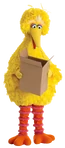 BigBirdBox
