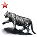 Item tundratiger ruby 01