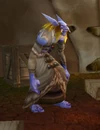 SearnFirewarder
