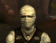FNV Joshua Gra