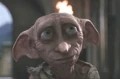 Dobby at Hogwarts.jpg