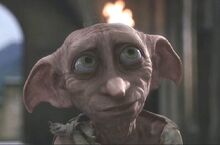 Dobby at Hogwarts