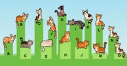 Cat examples