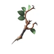 FF14ConjourerWeapon