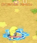 HKO Golden Furtale508.JPG