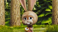 Boingo bunny rabbit