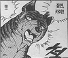 Akat