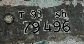 Type93