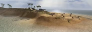 BF1942 WAKE ISLAND COASTAL DEFGUN 1