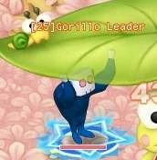 HKO Gorillo Leader057.JPG