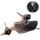 Item xjet 01.png