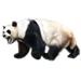 Item giantpanda 01.png