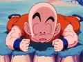 SpyKrillin