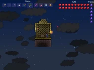 Small floating Island
