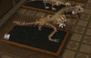 Dinosaurios