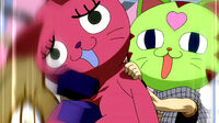 Natsu's Neko Barrier