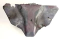 Jem'Hadar fighter debris model.jpg