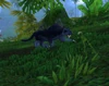 JunglePanther