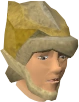 Wounded guardian chathead.png