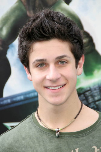 David Henrie Fat