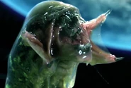 Predalien-1
