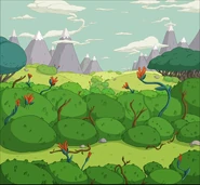 Tumblr l98bw5qZbb1qzrbk9o1 500