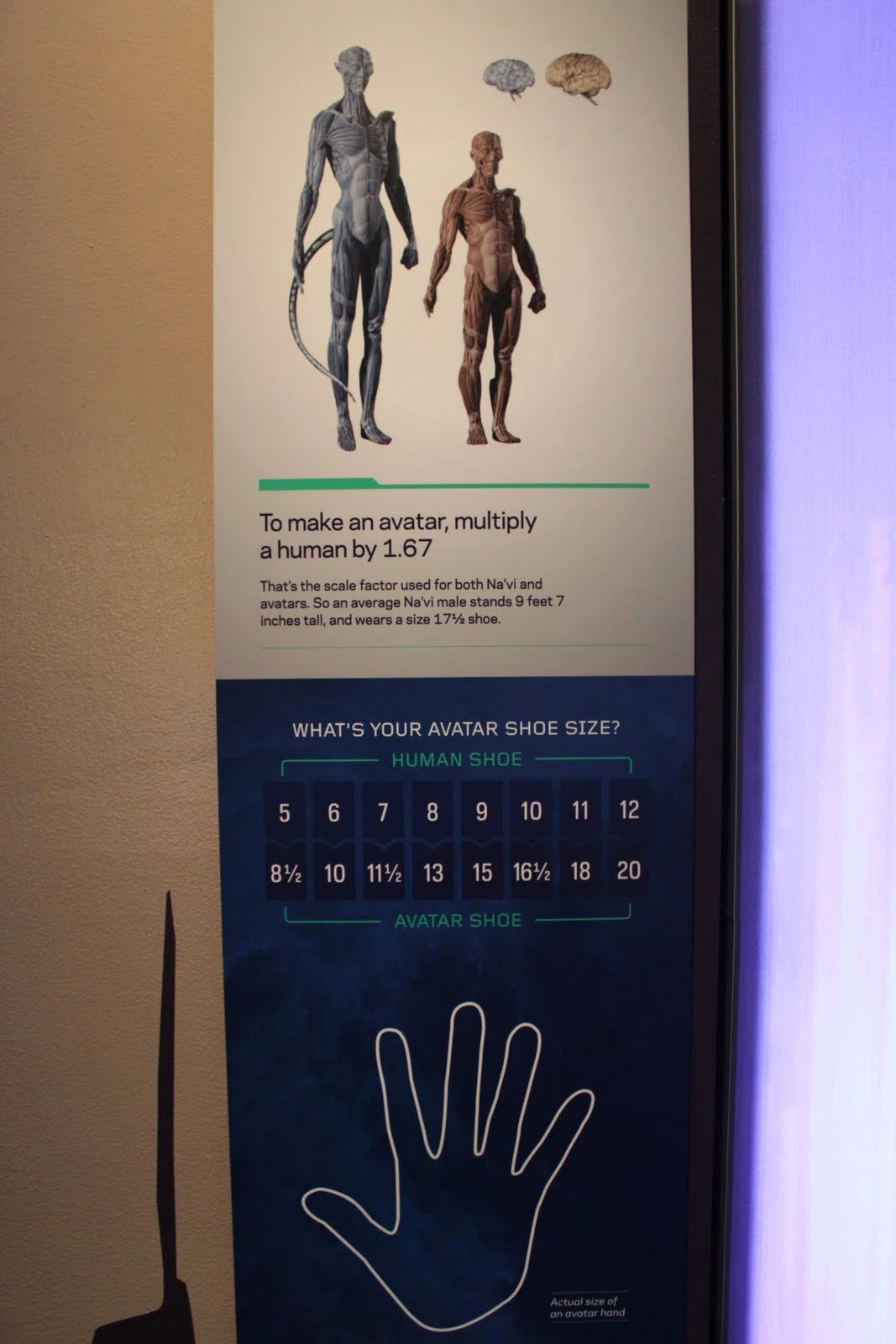 Dołączona grafika