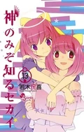 Volume 13 cover