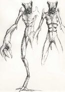 Bloodrayne Hedrox The Infinite | RM. Bloodrayne Hedrox The Infinite | RM.