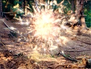 10. Cretaceous forest Cretaceous-Pliocene Anomaly