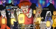 Cat yokia