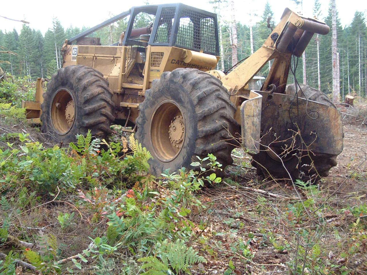 Timber skidder Tractor & Construction Plant Wiki The classic vehicle and machinery wiki