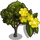 Giant Gorse Tree-icon