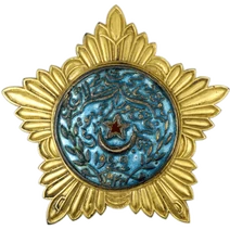 Order of the Red Star Bukhara Soviet Republic, 1 degree