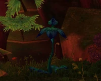 Image of Iceeya