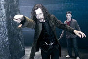 Sirius-black