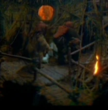 Endor chicken.jpg