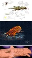 Hanonian land eel concepts by Dan Curry.jpg