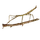 Item giantwalkingstick 01