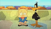 Daffy Watches Porky Hide his Shame