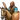 Hippikon