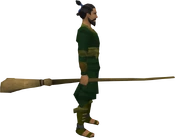 Broomstick equipped.png
